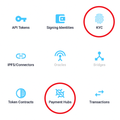 blockchain payment hub and KYC