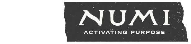 Numi Organic Tea