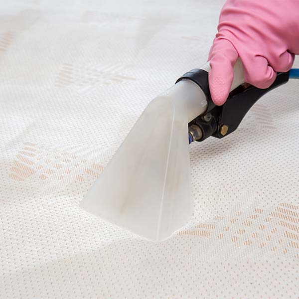 Carpet Cleaning in Pingree Grove, IL SimplyPure Cleaning Company