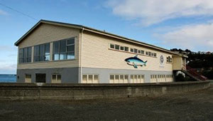 Island Bay Surf Club