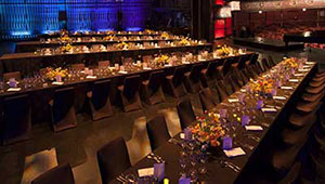 Opera House -Stage
