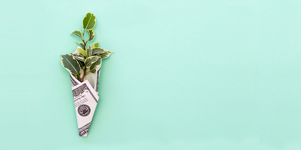 How to start a 501c3