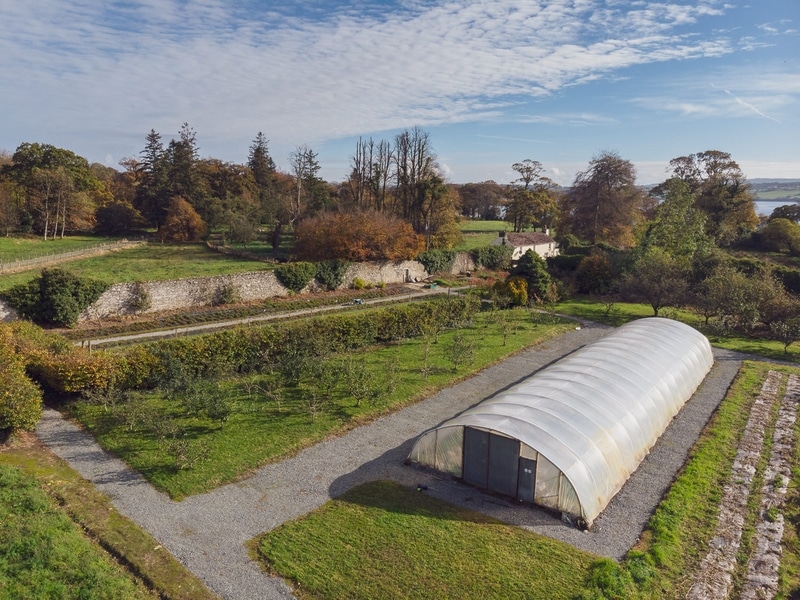 History of the Castle Grove