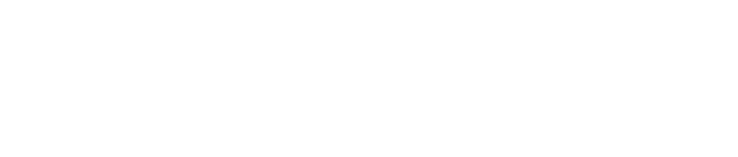 Webdesign-Kunde: Logo WiiVoa
