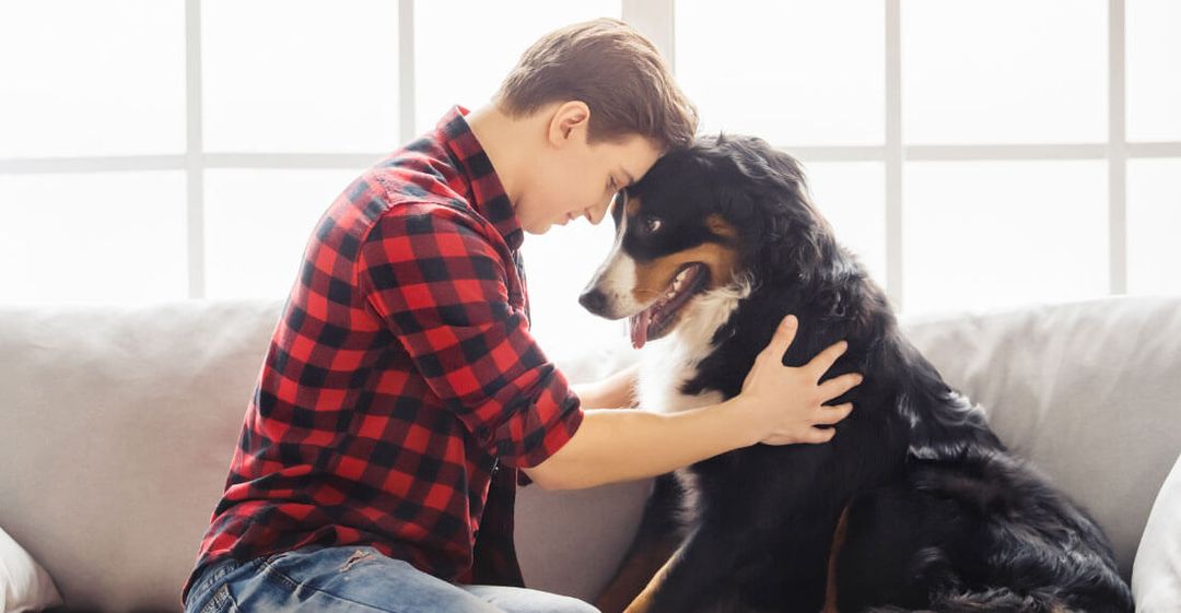 Can I Deduct My Dog? What You Can Deduct For an Emotional Support