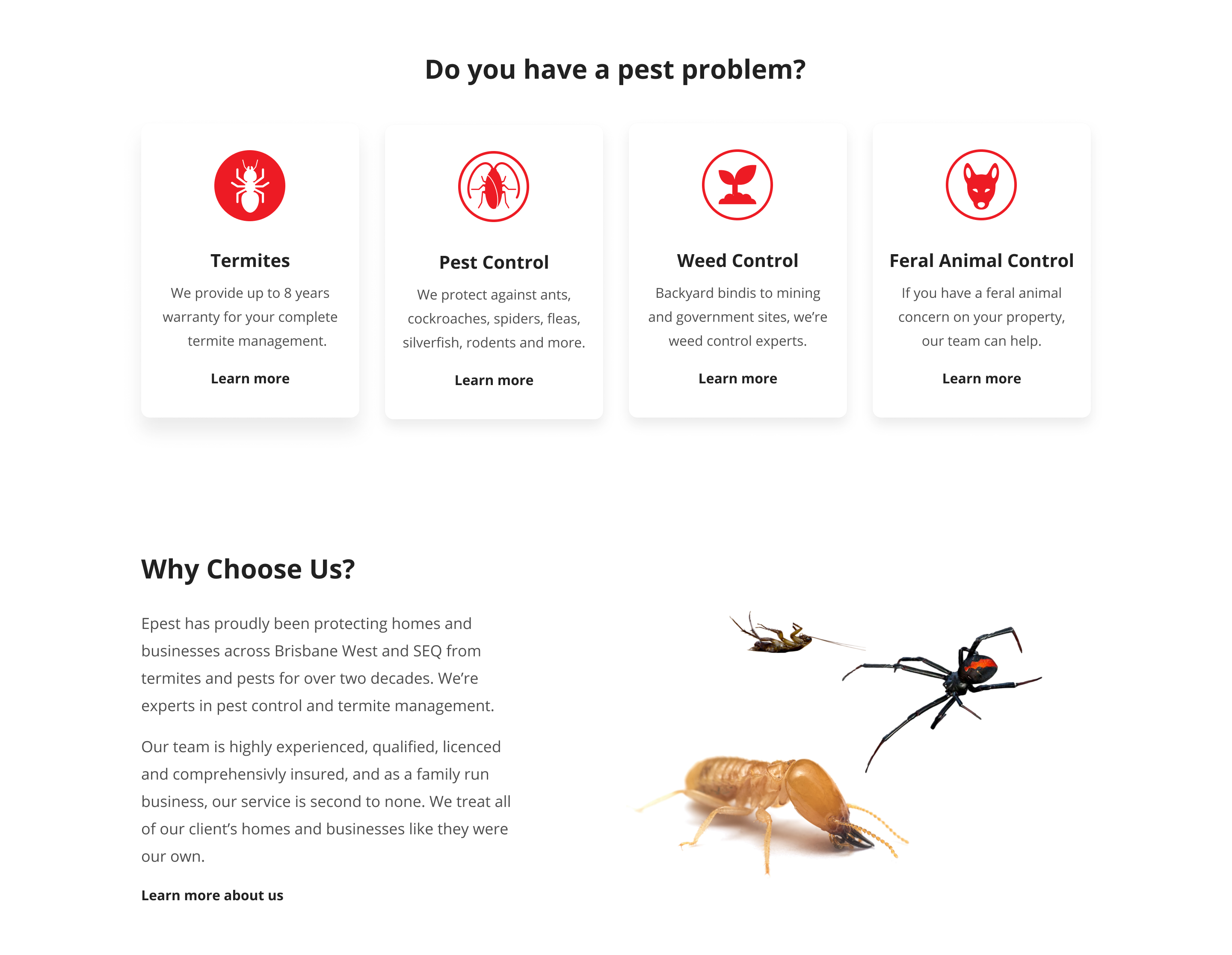 Mockups of the Epest Pest Control Webflow website in both desktop and mobile formats