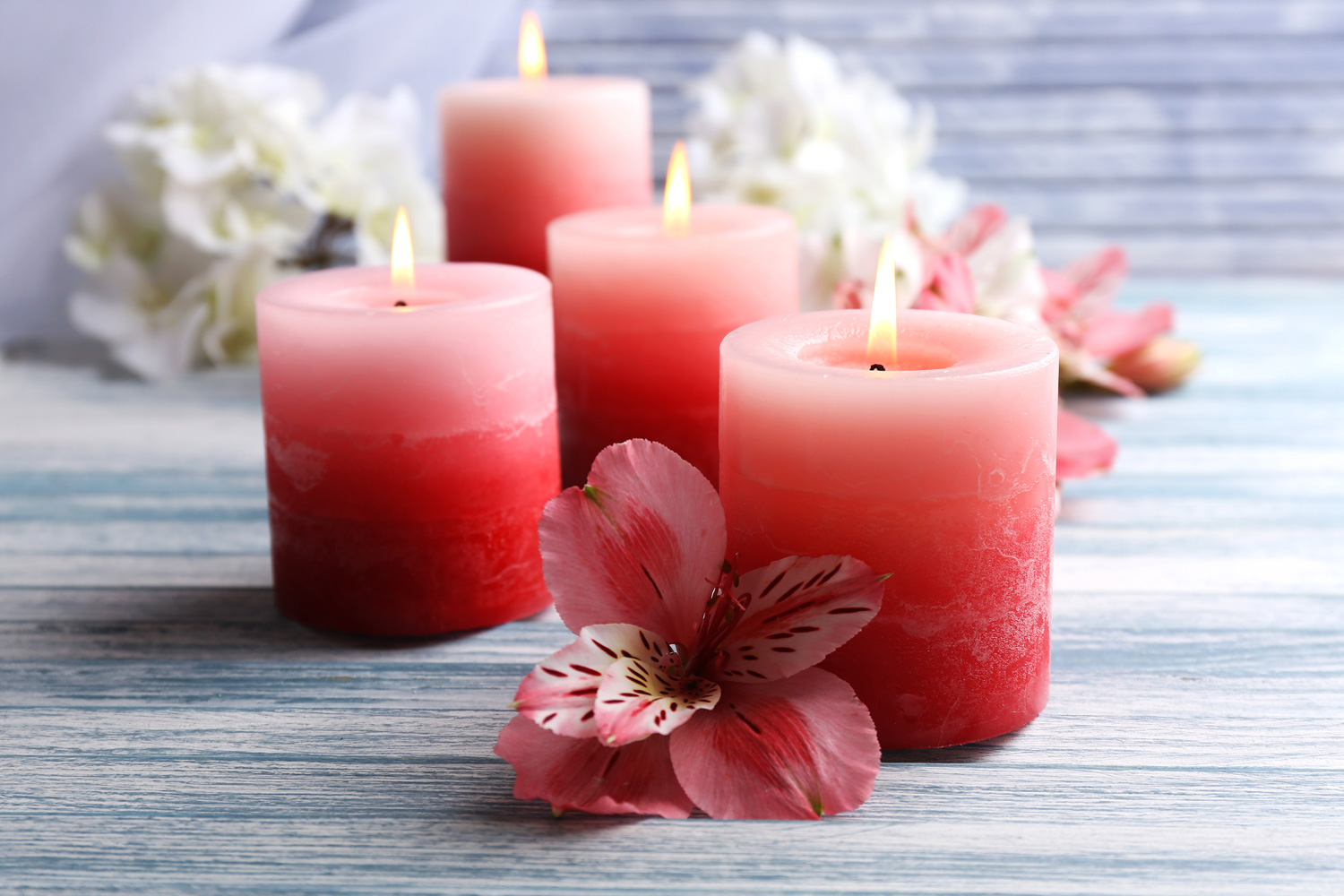 Home Clover Leaf Candles Wholesale Candles for every Occasion