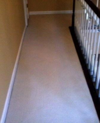 Pet Urine Removal Maryland