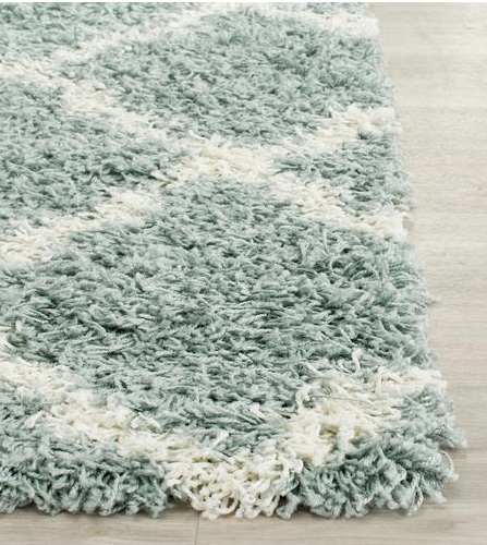Shag Area Rug Cleaning Baltimore Annapolis Maryland