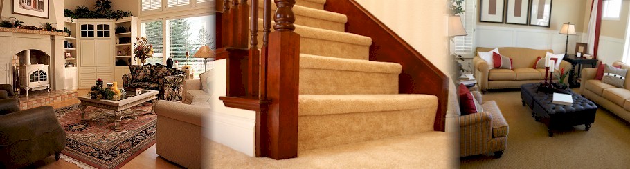 Carpet Cleaning Arnold Maryland