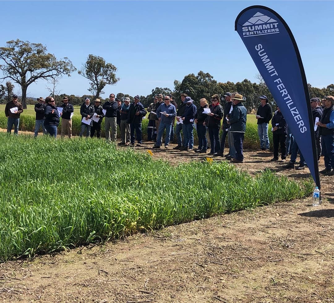 A leading fertilizer supplier in WA Summit Fertilizers