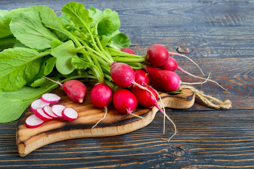 Radish
