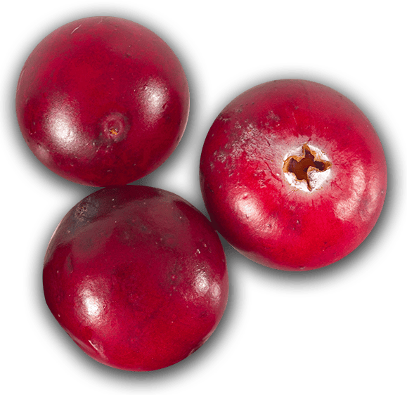 cranberries