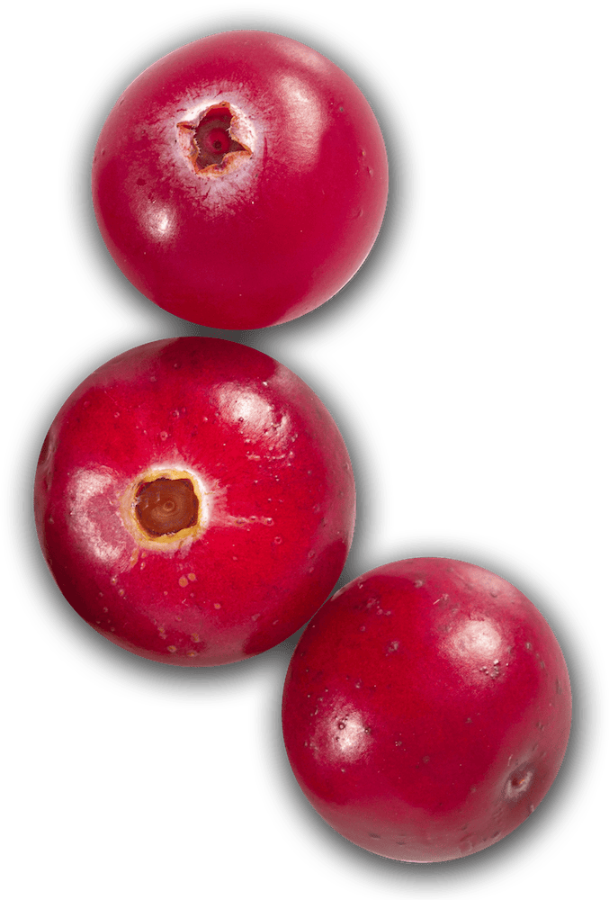 cranberries