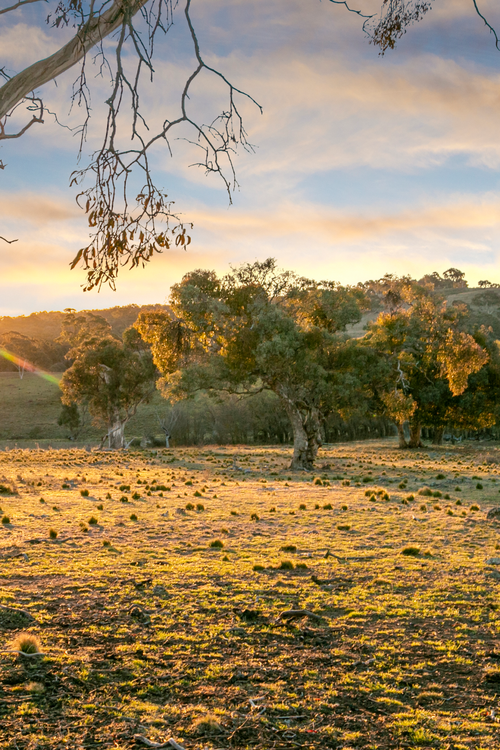 FIBER Sunset Googong From 2018