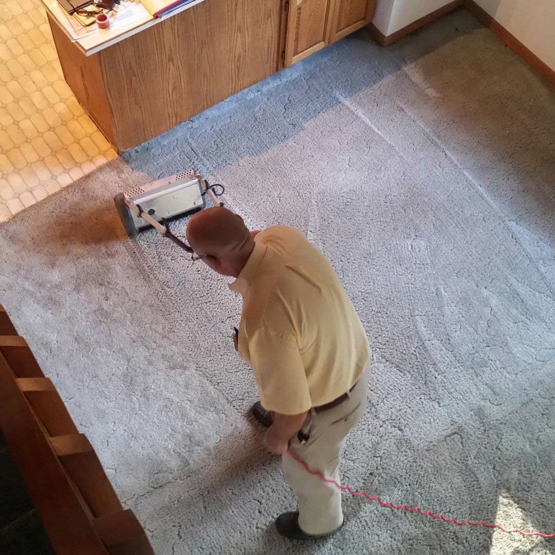 Carpet cleaning in Port Alberni, BC