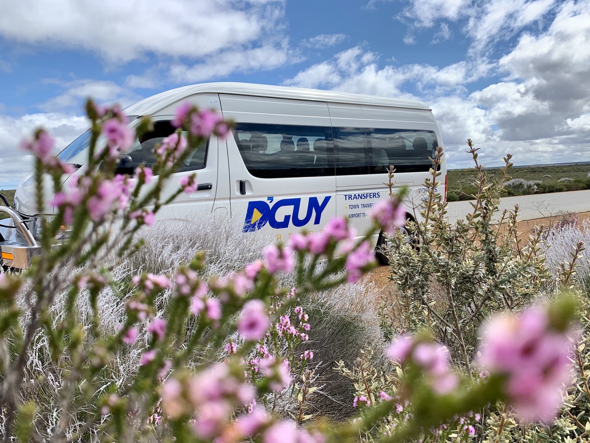 D'Guy van amongst wildflowers in Kalbarri