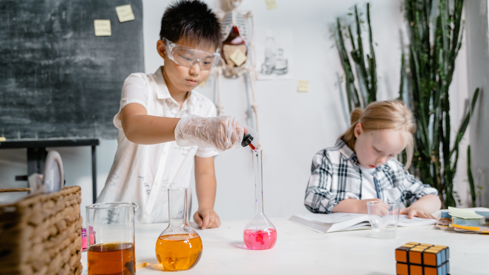 Photo of science experiments for kids