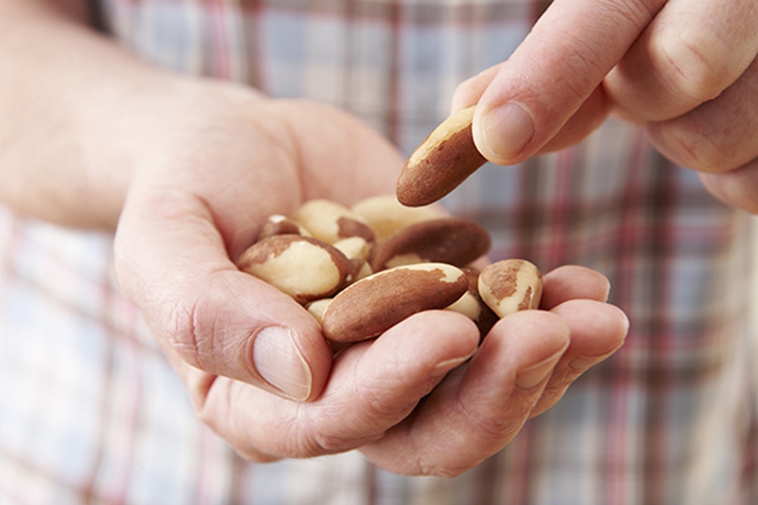 nuts the ultimate superfood_body