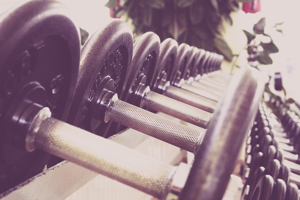 Exercise|weights-exercise-class