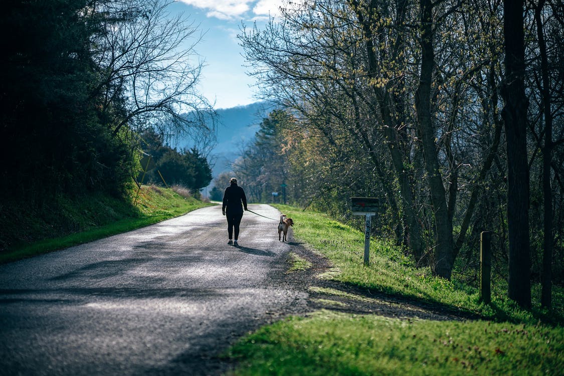 nature-walk|slow-down
