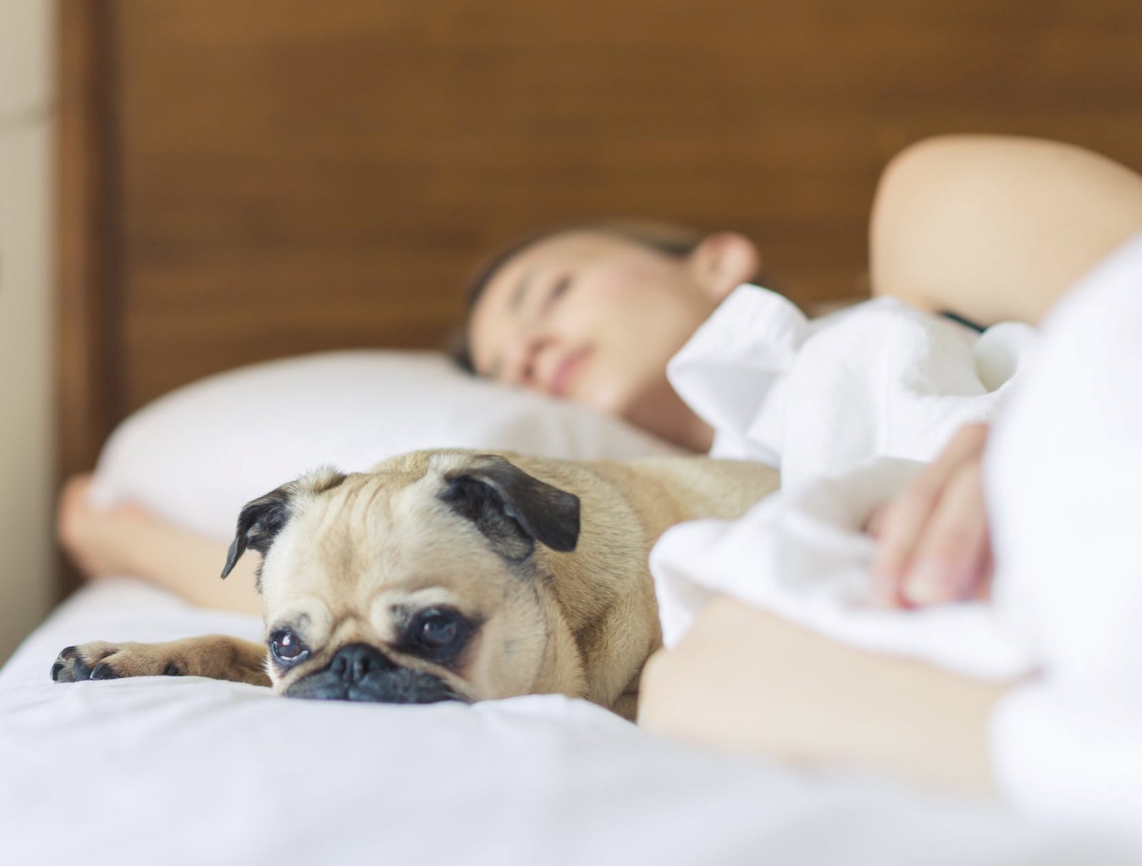 Dietary Tips for Sleep|sleep-and-diet|Dietary Tips for Sleep