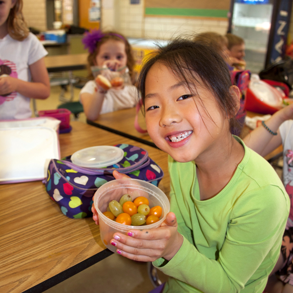 healthy school lunch|healthy-lunches|healthy-lunches|healthy-lunch