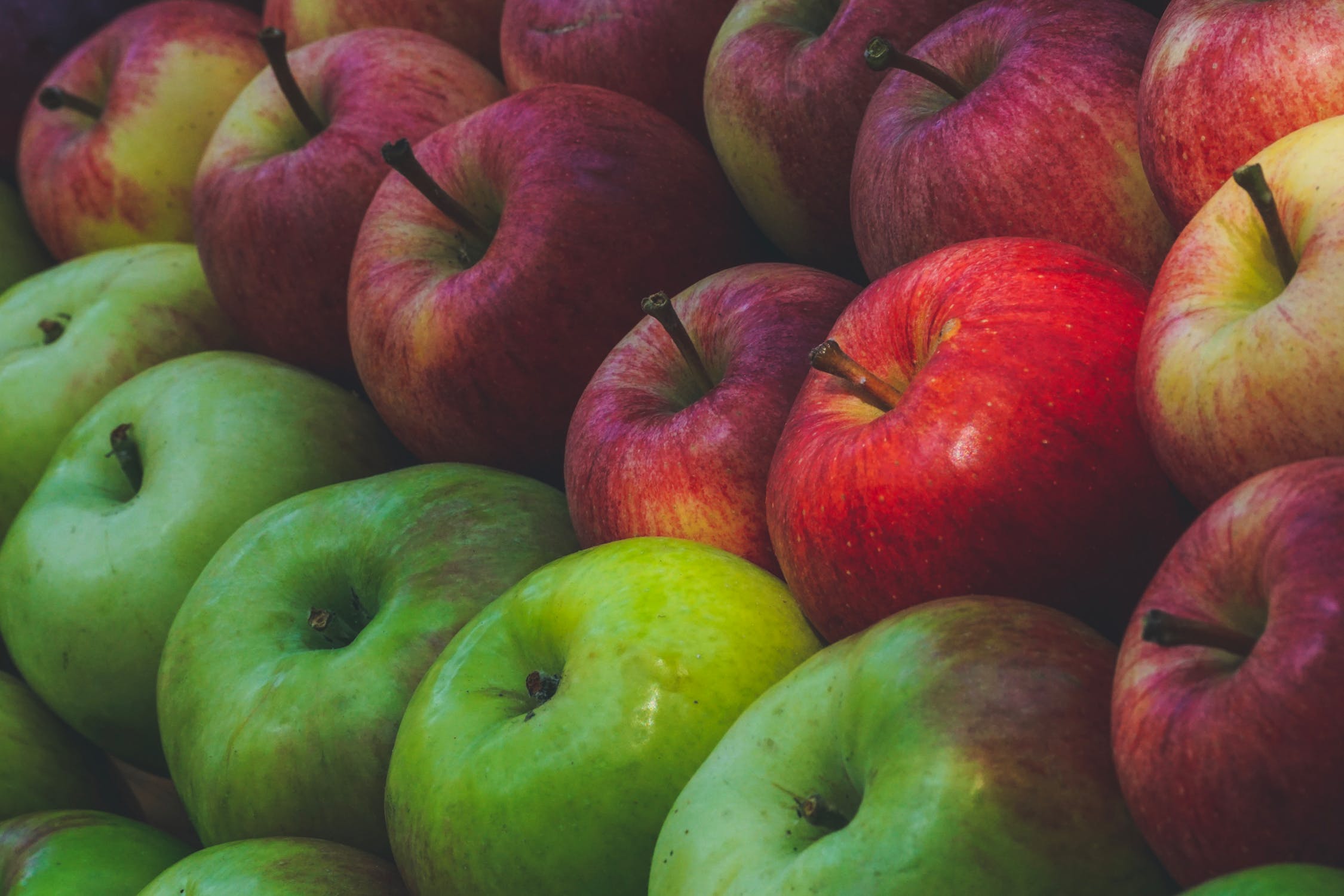 apple snack|apple-snack
