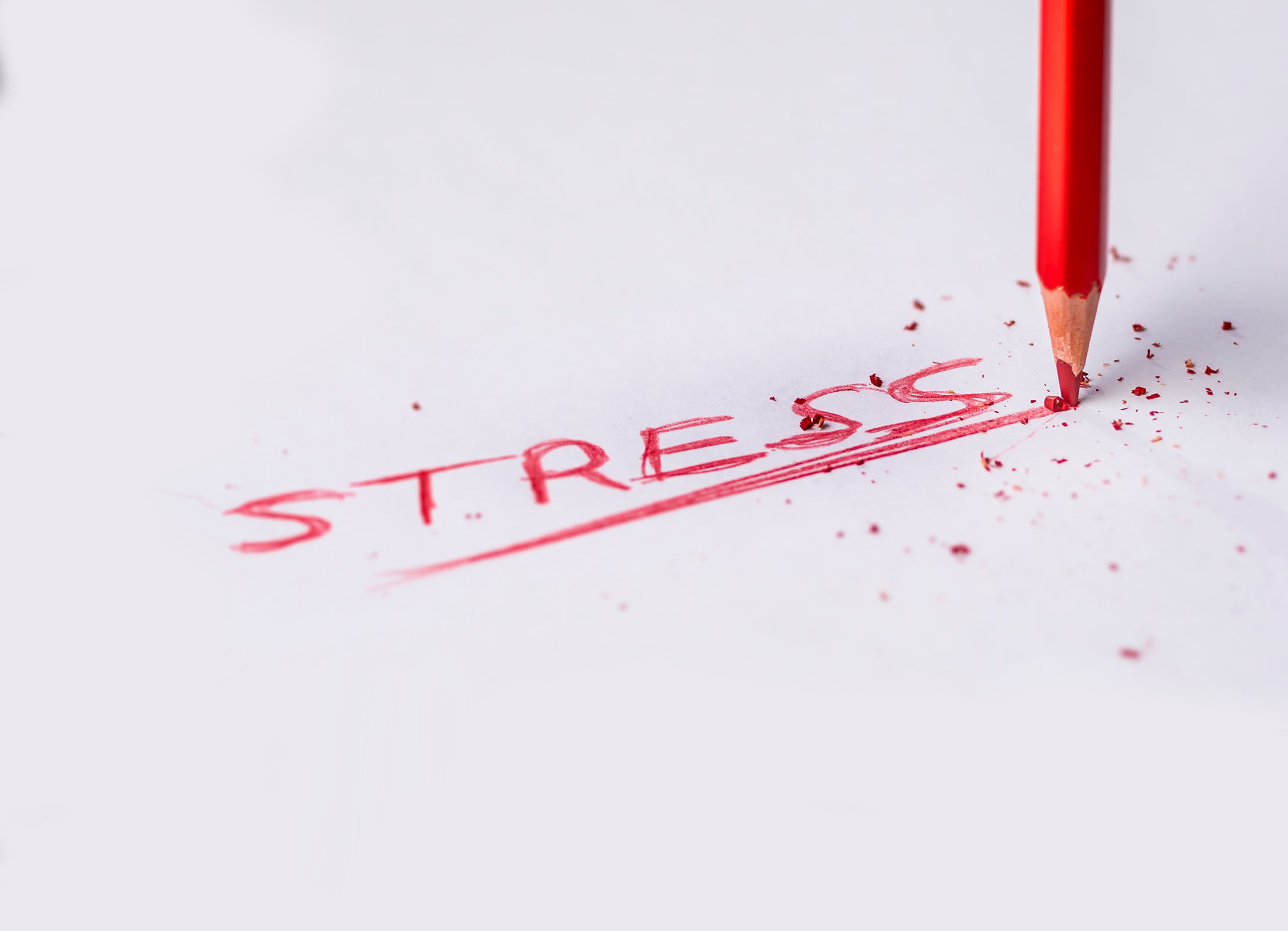 stress-spectrum|the-stress-spectrum|stress spectrum|stress-spectrum|stress spectrum