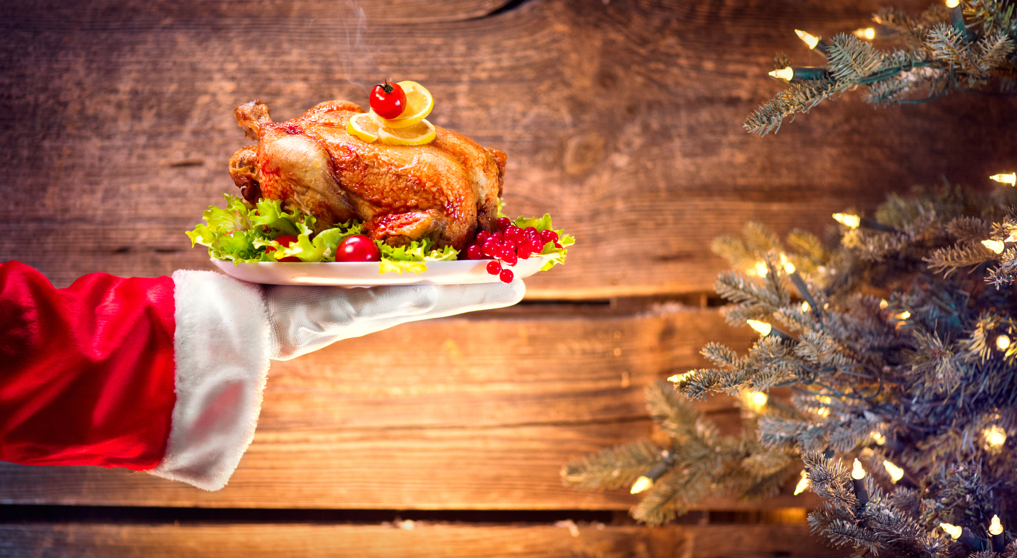 say no during the holidays|say-no-during-the-holidays