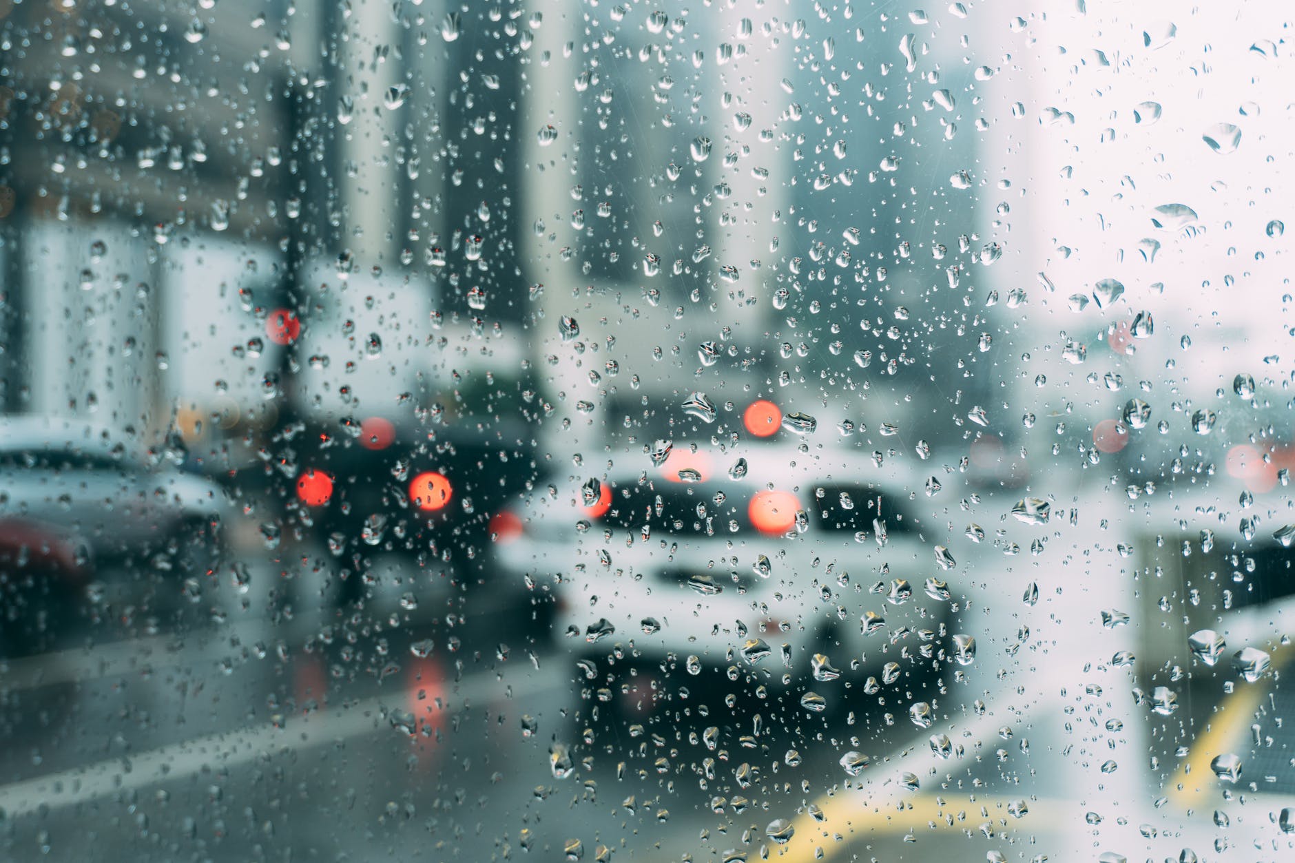 Seasonal Affective Disorder|seasonal-affective-disorder