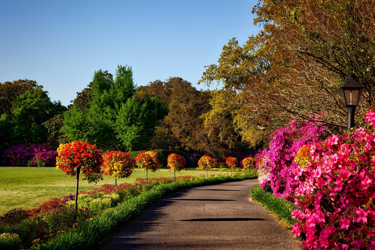 The Do's of Allergy Season|allergy-season|allergies