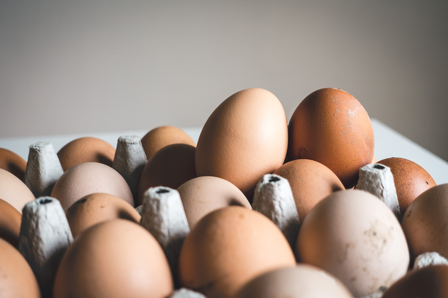 egg salad|egg-salad