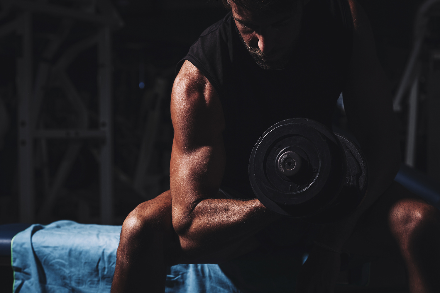 Maximize Gains|maximize-gains