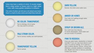 urine-color-chart