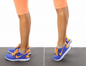 calf-raises-basic