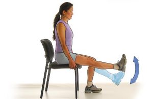 leg-extension-exercise