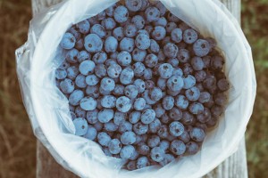 blueberries