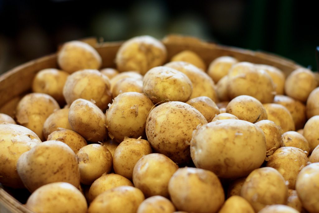 starches carbs
