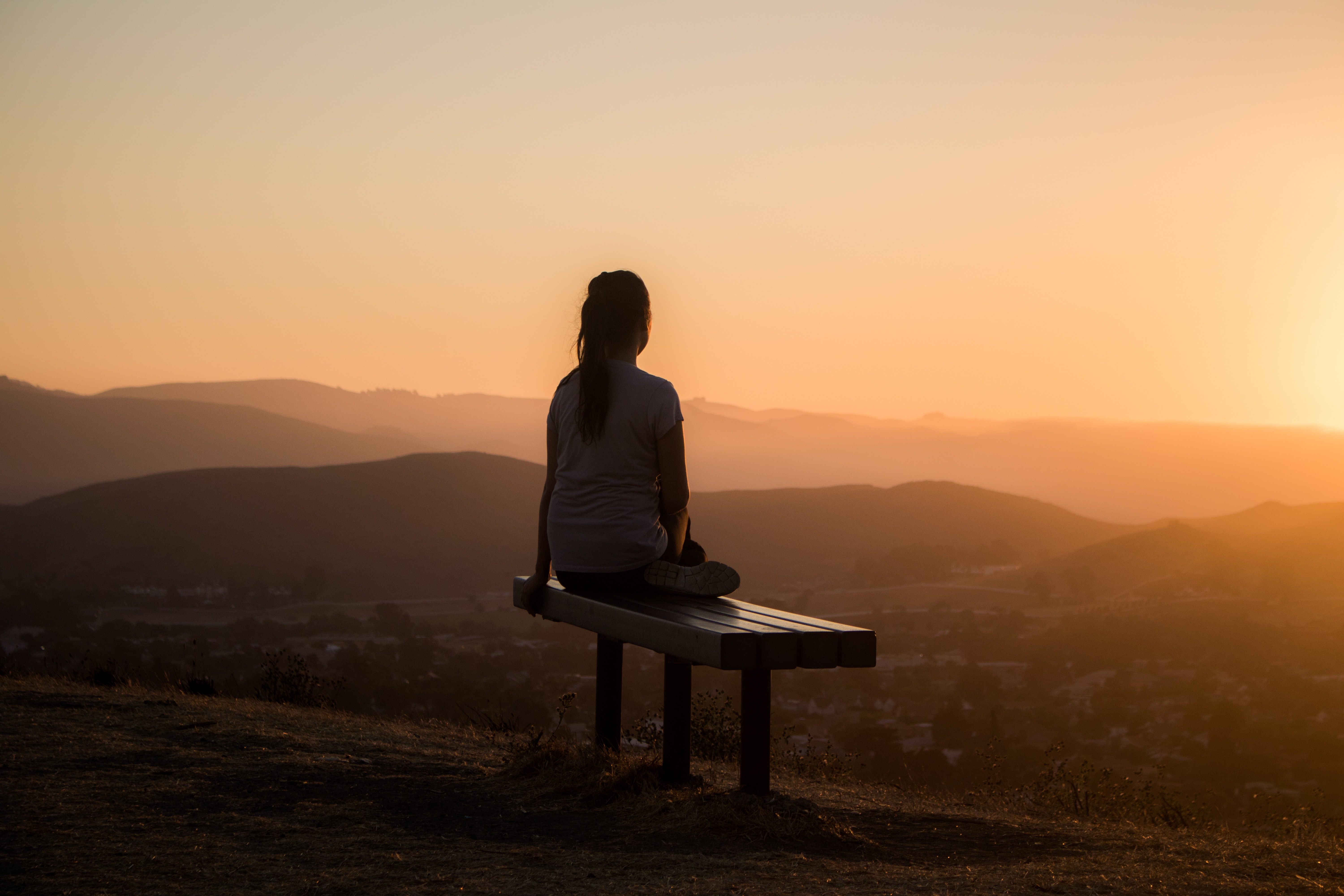 Surviving the Pandemic Through Mindfulness