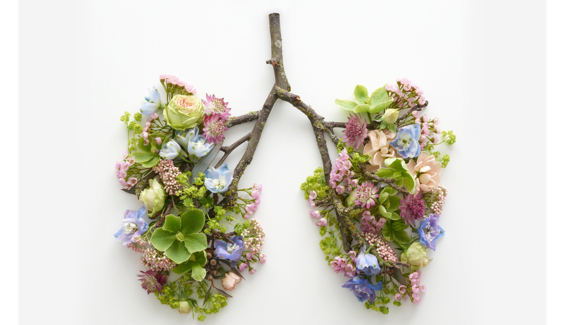 James Nestor, Author of Breath on the Restorative Art of Breathing