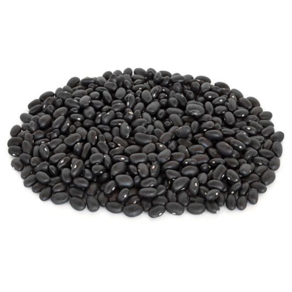 Galaxy Black Turtle Beans 1Kg Wholesale Prices & Suppliers
