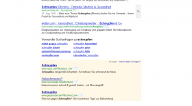 Google Adwords werden jetzt auch unter den Suchergebnissen (SERPS) angezeigt