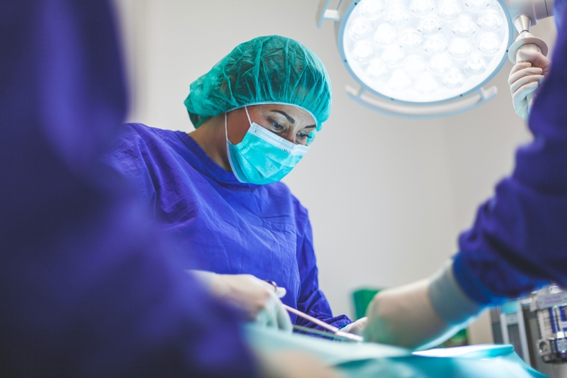 anesthesiologist-assistant
