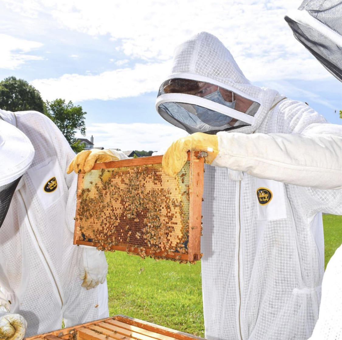 Trilith Apiary Bee Downtown