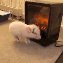 Heater GIFs | Tenor