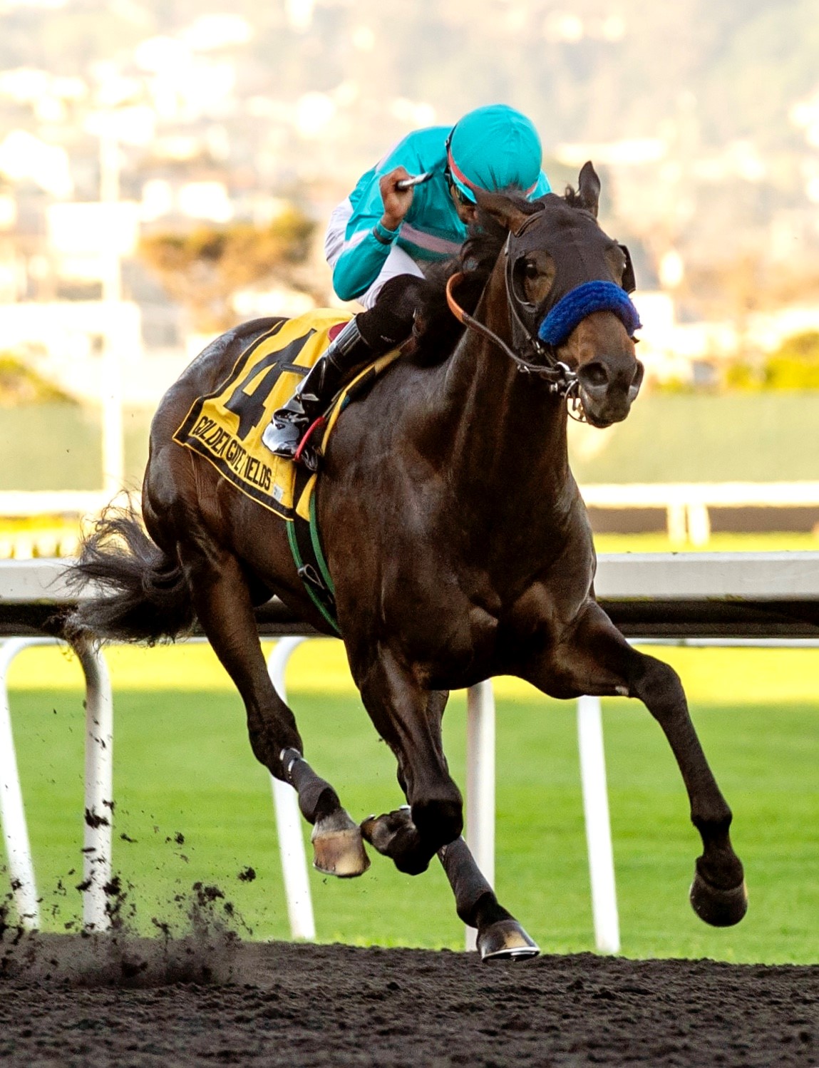 1/ST Look Golden Gate Fields 5 Facts February 1521 1/ST Look Golden Gate Fields 5 Facts February 1521