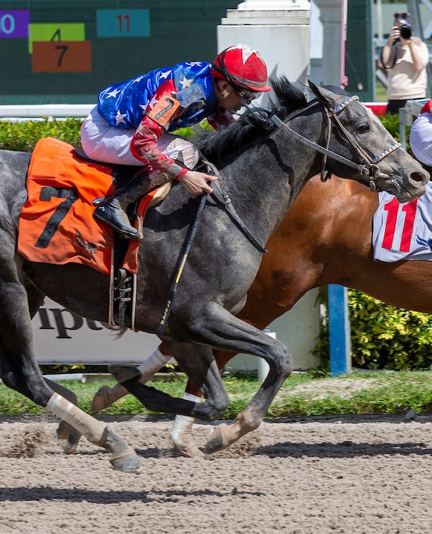 Belmont Stakes Picks & Wagering Guide by 1/ST BET