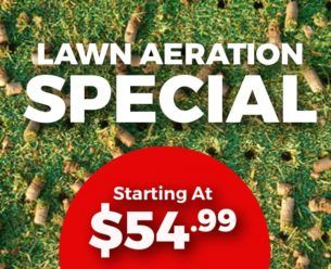 Lawn Aeration Price