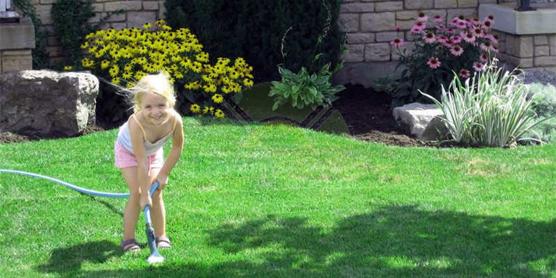 12 Reasons to Choose All Pro Lawn Service